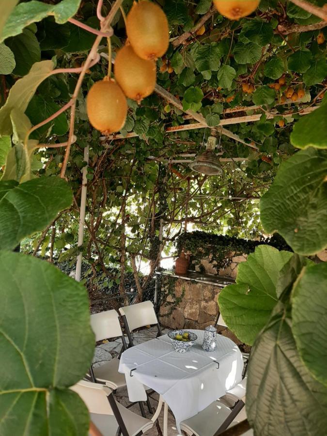 Sailor'S Rustic House Villa Virpazar Buitenkant foto