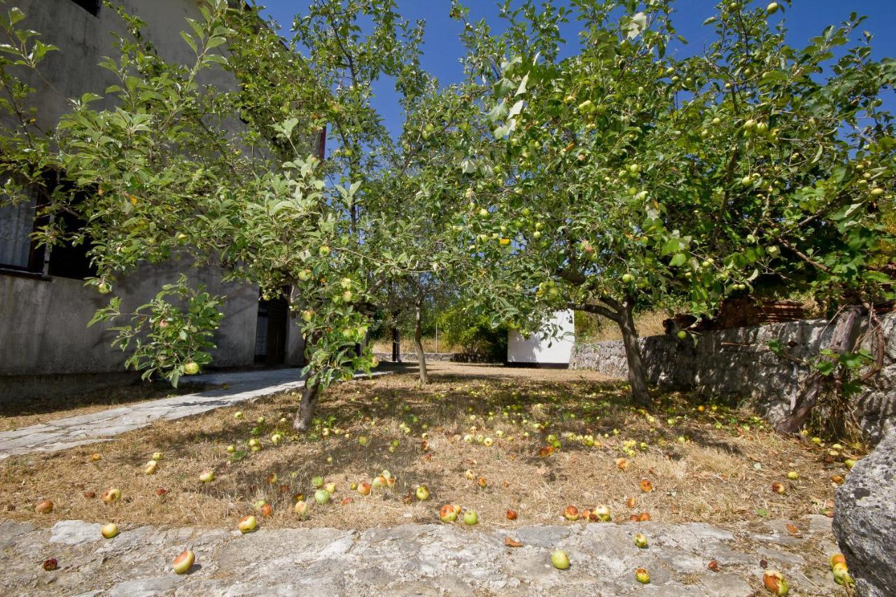 Sailor'S Rustic House Villa Virpazar Buitenkant foto