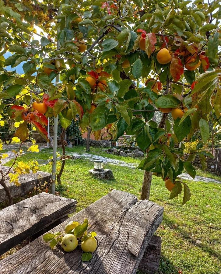 Sailor'S Rustic House Villa Virpazar Buitenkant foto