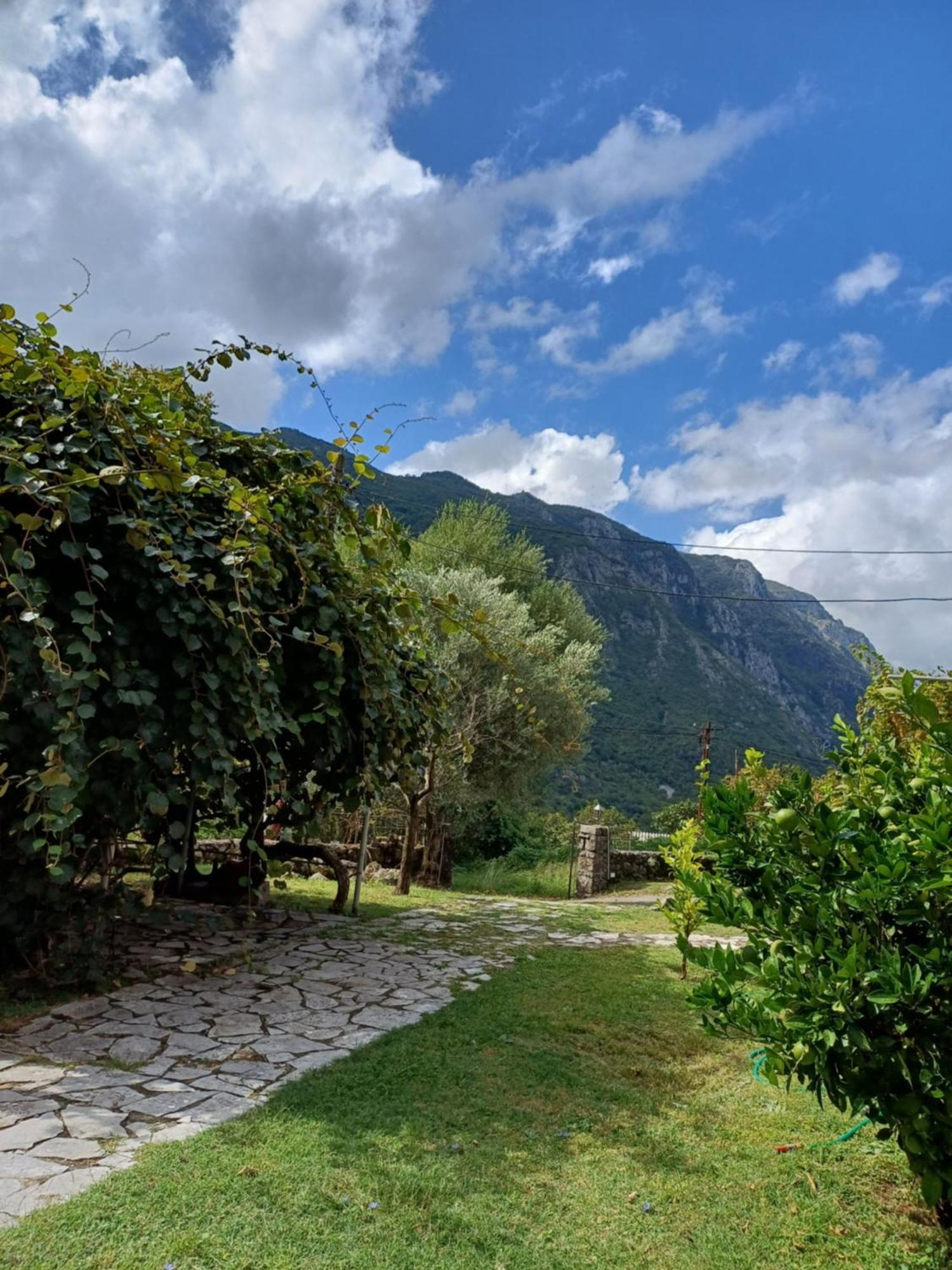 Sailor'S Rustic House Villa Virpazar Buitenkant foto