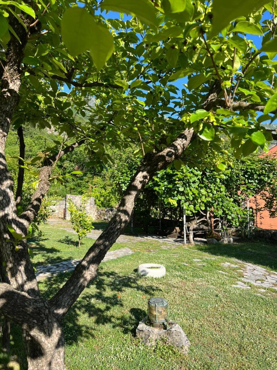 Sailor'S Rustic House Villa Virpazar Buitenkant foto